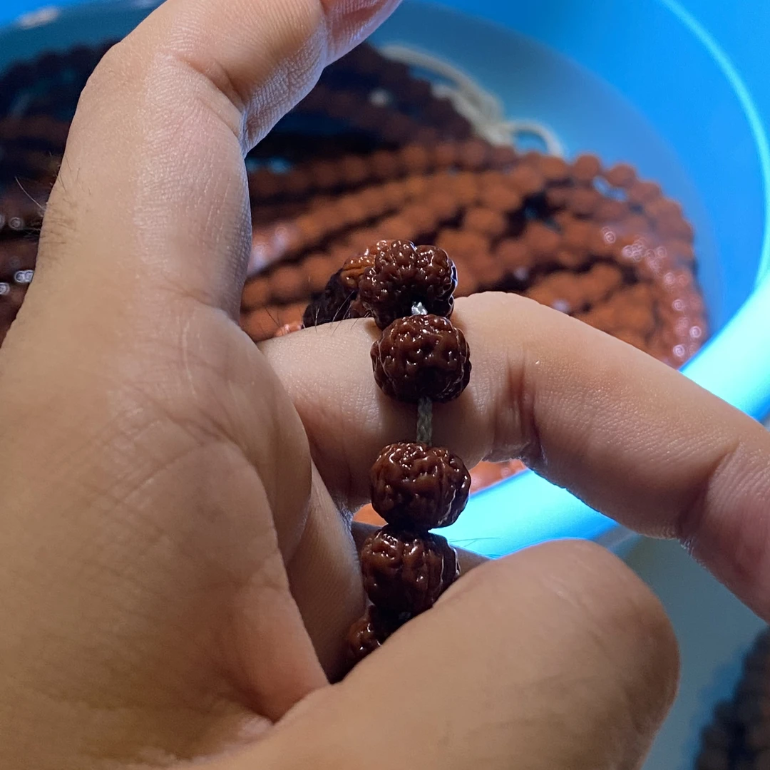 【纯血一代老树梅花】老树玉梅花金刚菩提
