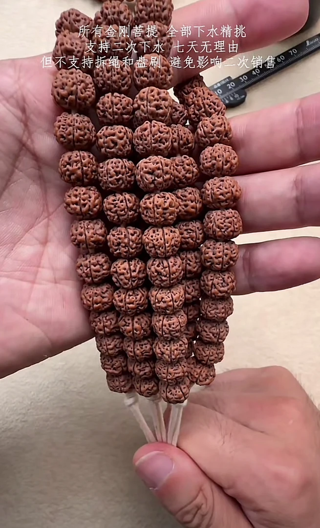 老树天价蜂窝小金刚菩提单圈单串