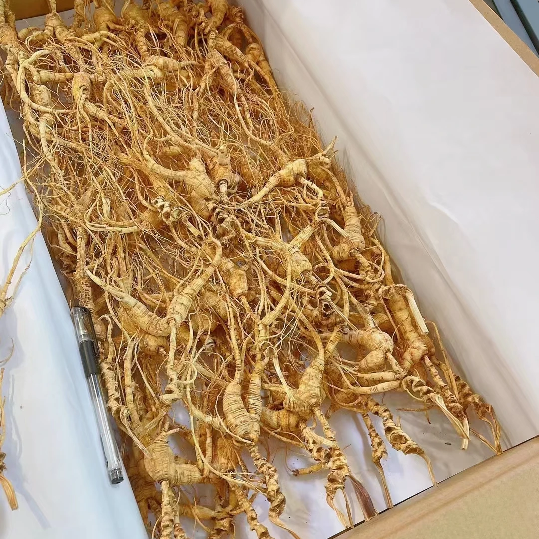 吉林长白山  高念头  林下干   500克