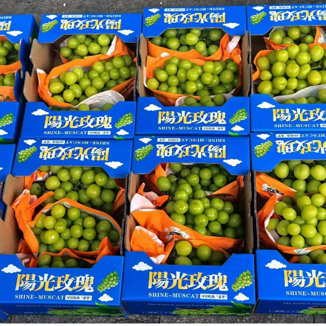 【阳光玫瑰】周边本地阳光玫瑰 目前超好吃的