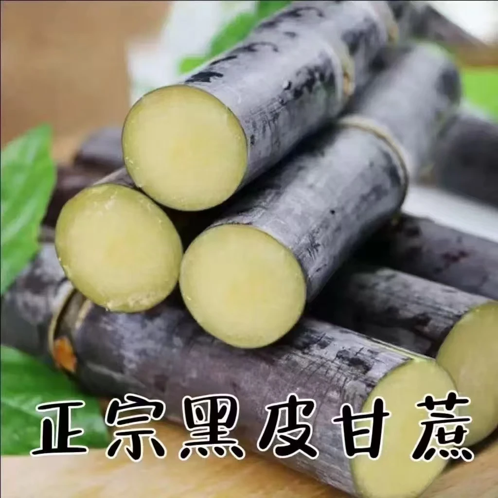 黑皮甘蔗新鲜孕妇水果应季上新榨汁脆甜好吃9.9一根