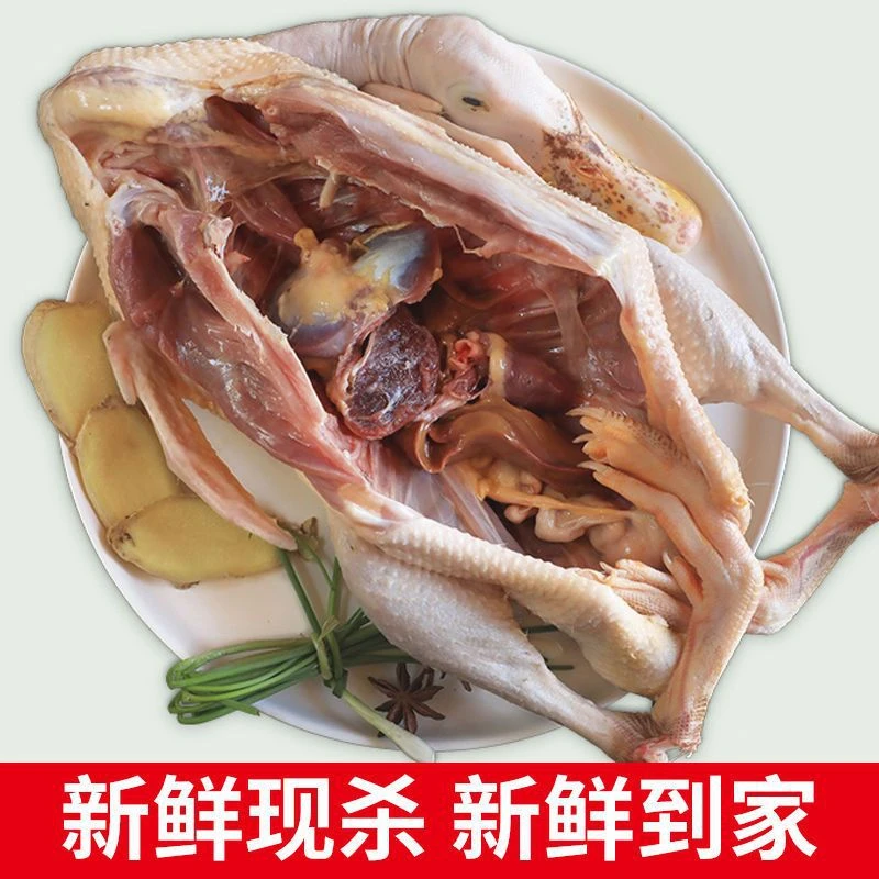 2斤左右农家散养土鸭麻鸭新鲜鸭生鸭肉鸭子鲜鸭水养鸭不带掌翅