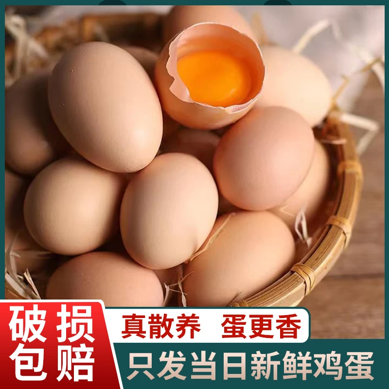 正宗农家散养新鲜鸡蛋10-40枚农产品营养45-50g好吃健康鲜美