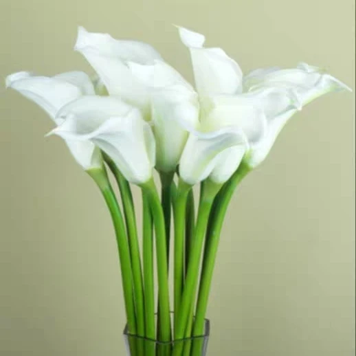 高品质仿真手感保湿PU大号马蹄莲绢花假婚塑料花庆酒店客厅装饰