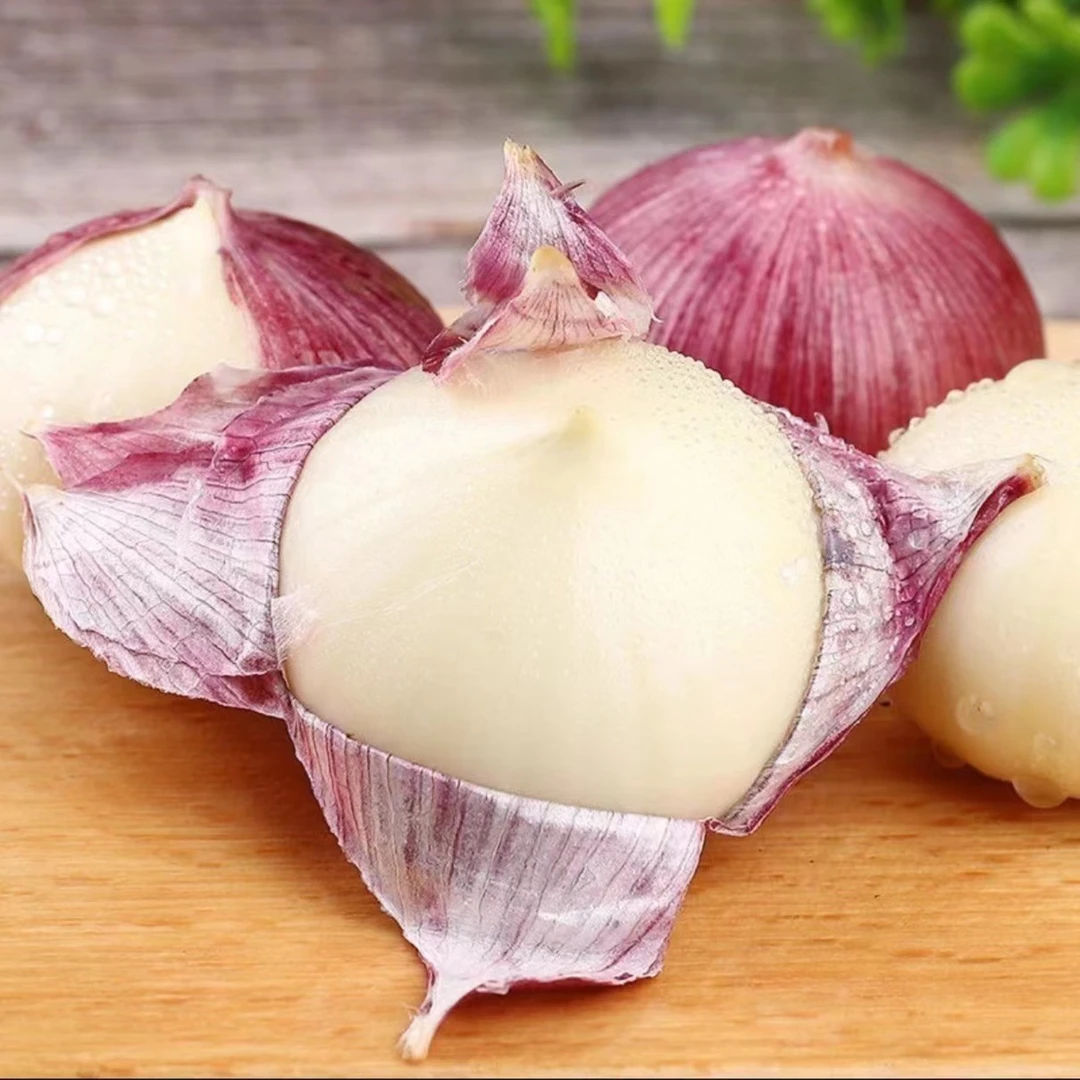 【新店半价湿蒜】云南新鲜现挖大蒜头干湿蒜紫皮独头大蒜5斤批发