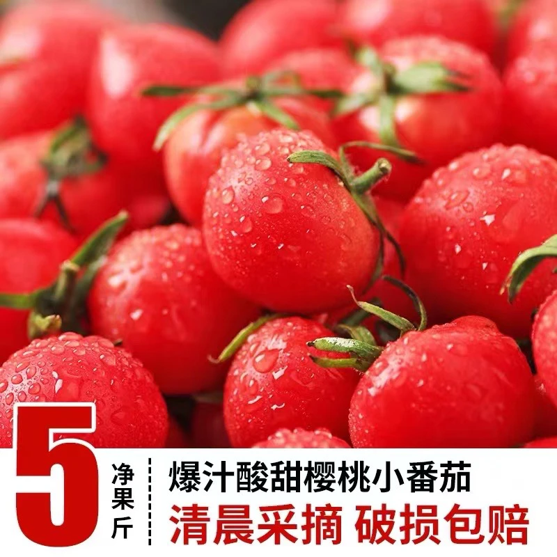 攀枝花露天水果小番茄3／5斤