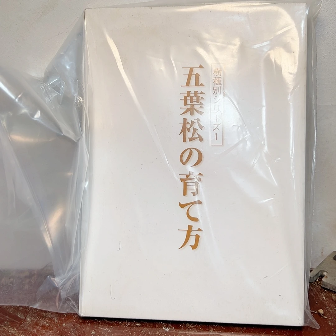 红陶20CM（含）-50CM（不含）