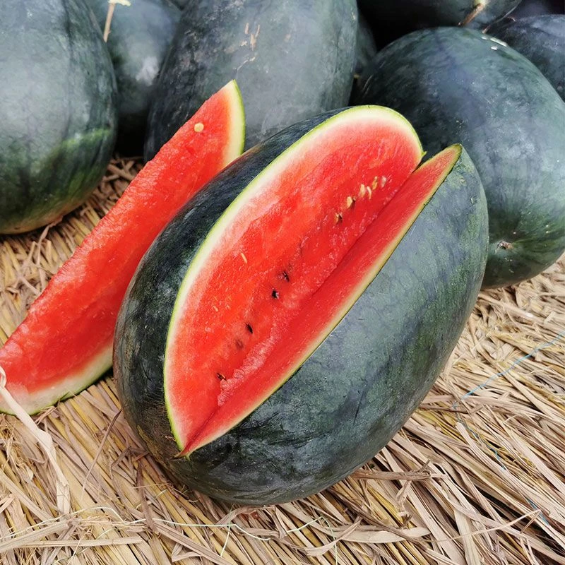 应季越南黑美人西瓜山地西瓜清甜 新鲜当季水果皮薄 沙脆多汁红肉