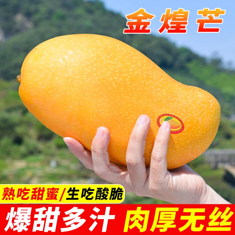 甜蜜广西黄皮金煌芒薄核无丝热带当季新鲜水仙芒香甜多汁放软即熟
