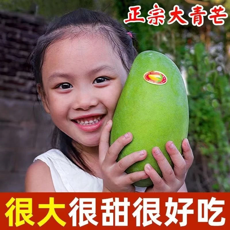 广西大青芒新鲜芒果10斤当季水果大青芒金煌芒非越南甜心1斤1克