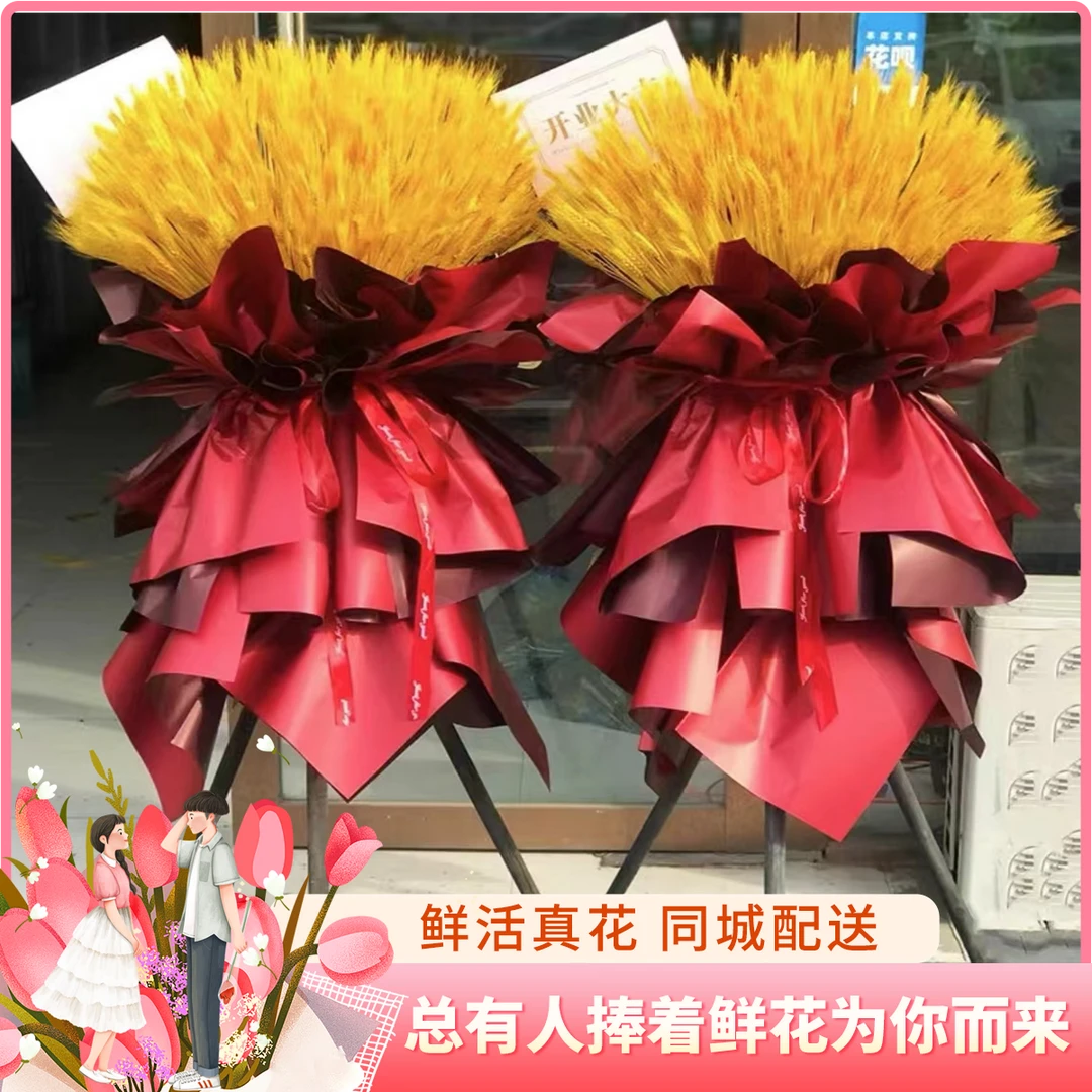 【开业花篮】1个大麦开业花篮同城花店鲜花束送朋友送亲戚鲜花小时达同城配送花店同城送花上门