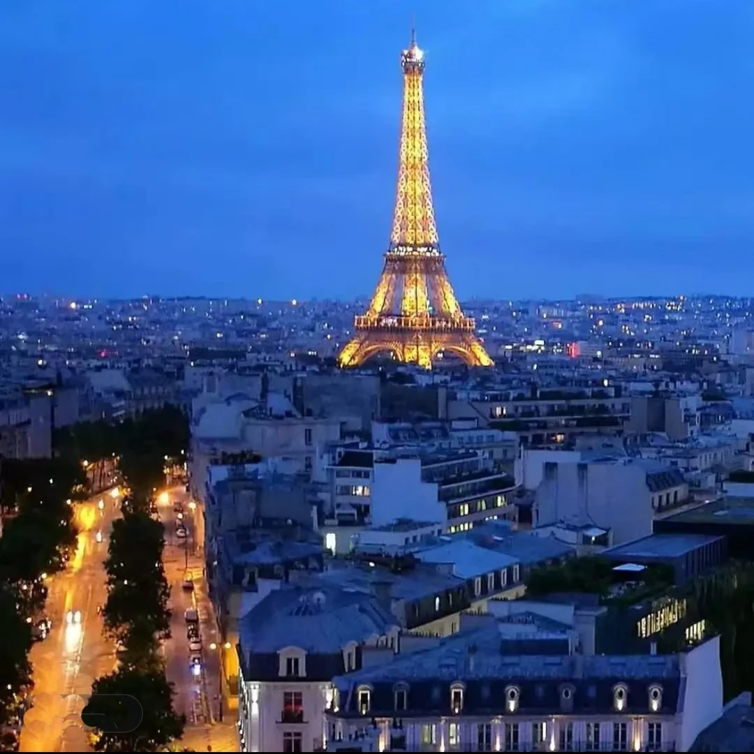 【日历刺绣数字T恤短袖】2025早春新款高品质纯棉圆领半袖