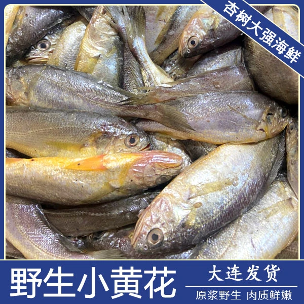 【冻品】【野生】当地小黄花大小都有（易破腹 介意勿拍）4斤 顺丰发货