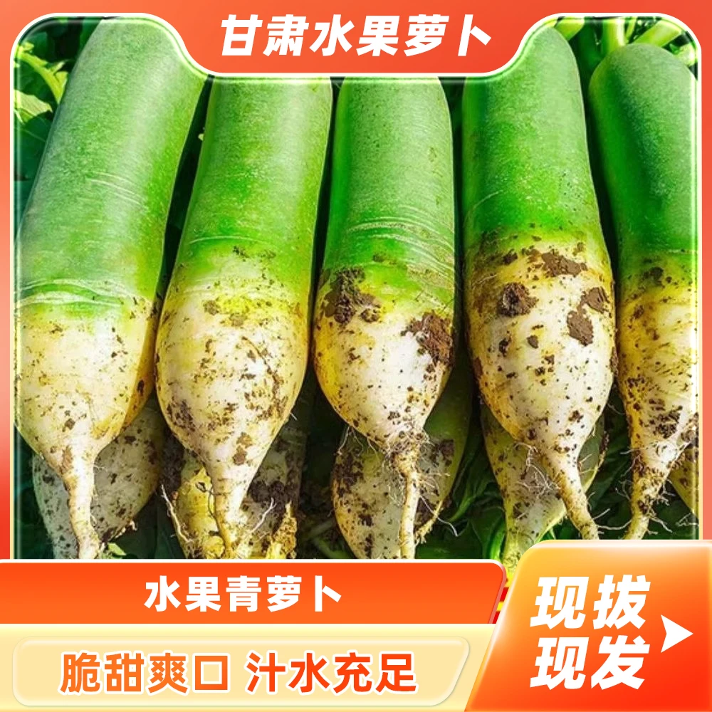 忆陇甜甘肃水果青萝卜5斤新鲜脆甜型微辣沙窝萝卜京东包邮