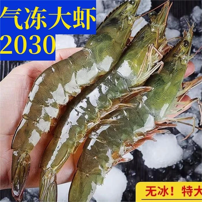 气冻20/30青岛大虾冰鲜速冻野生超大号白虾海鲜水产顺丰冷链