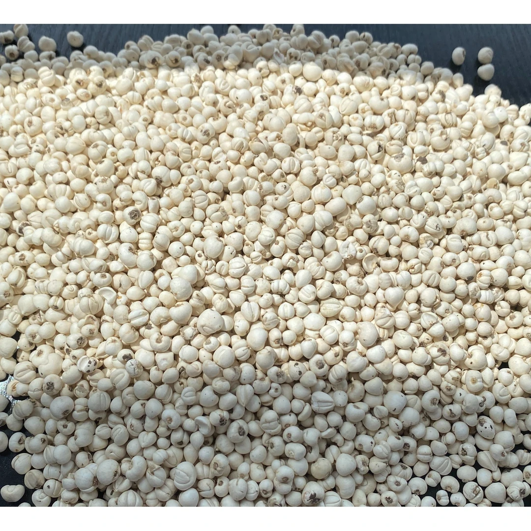 老褚选品，松贝 正宗川西核心产区 川贝家族中的老大，松贝 50克