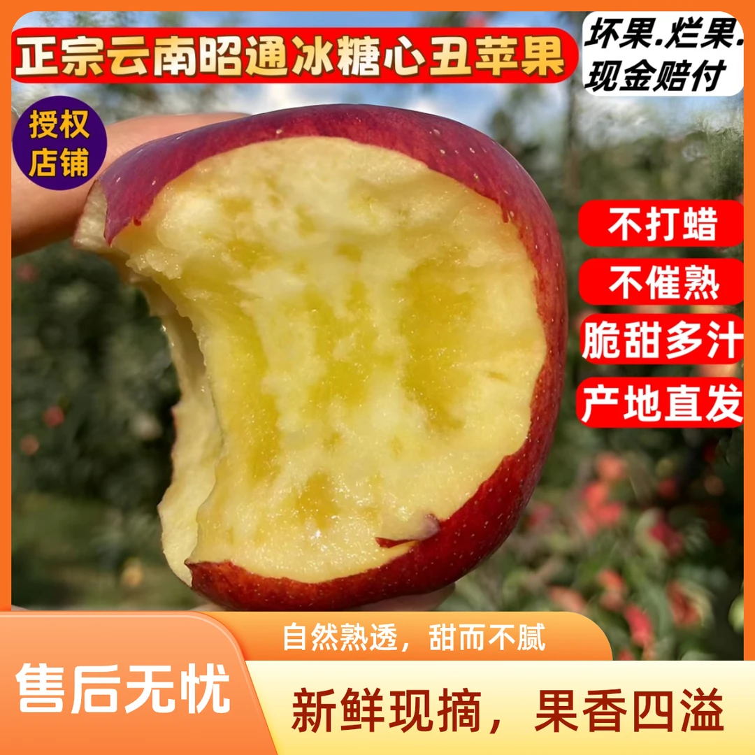 云南昭通冰糖心红露丑苹果脆甜多汁苹果冰糖心新鲜果园好吃香甜