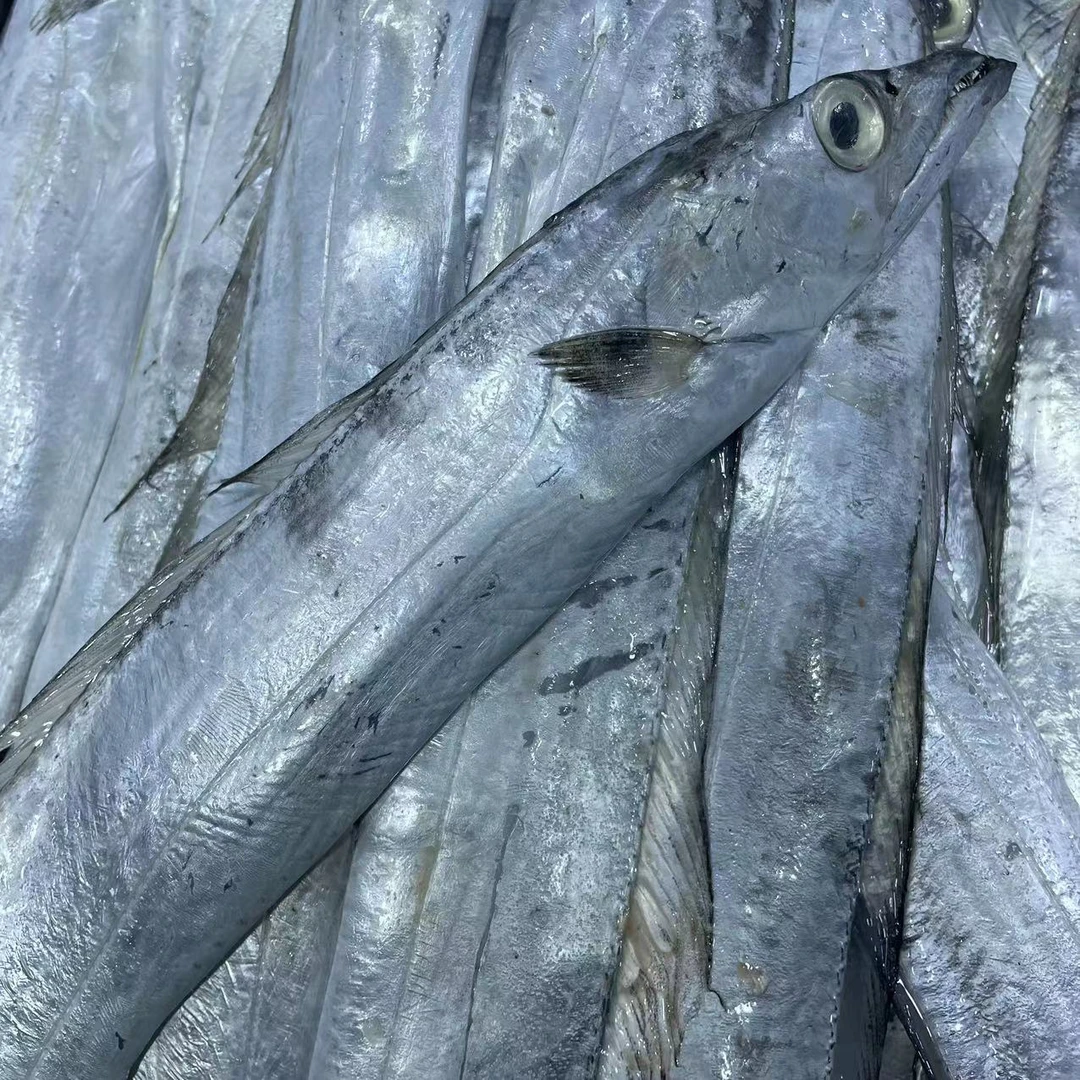【小号渤海湾油带】小号渤海湾油带鲜带鱼些许破肚肉质细嫩