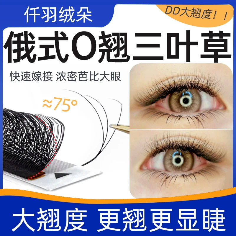 俄式O翘三叶草睫毛DD翘yy开花不散根欧美泰式芭比美睫店嫁接专用