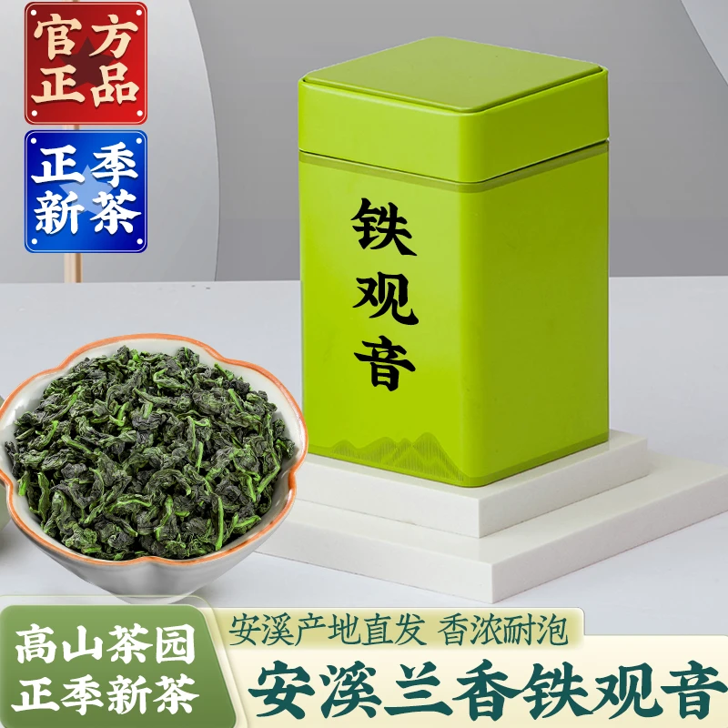 福建安溪铁观音兰花香2024新茶正宗高山清香型正位茶叶特级产地茶