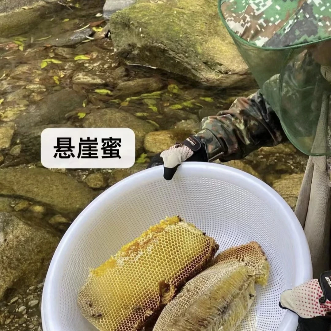 甘肃深山悬崖野生土蜂蜜[  500g~1000g]包邮女性