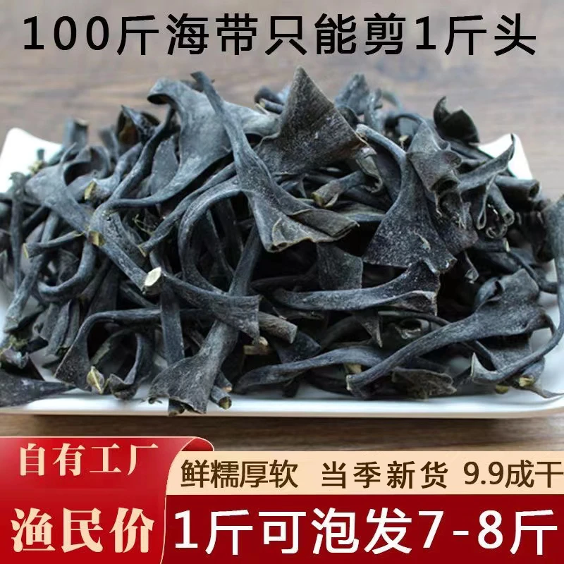 霞浦特产新鲜日晒海带头当季鲜美厚实鲜嫩煲汤火锅农产品100克