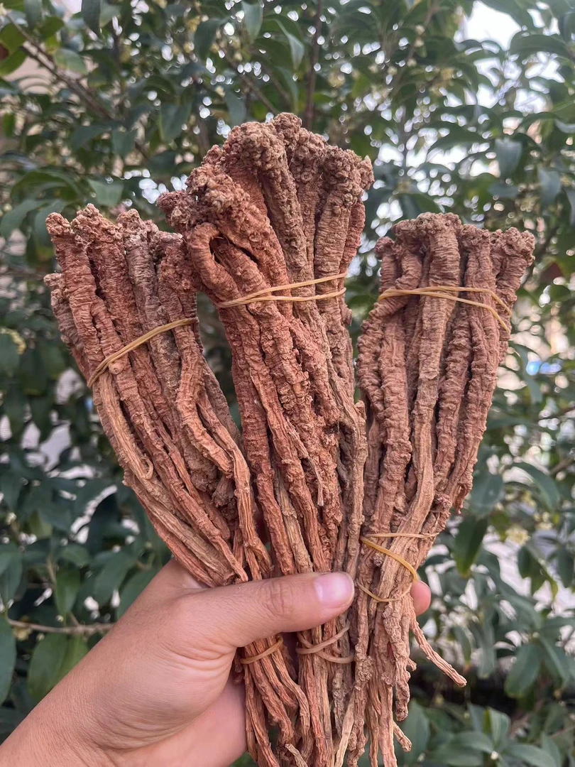 【党参】贵州深山土货