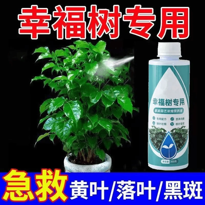 幸福树专用肥盆栽富贵竹发财树掉绿植肥料和幸福树专用绿植营养液