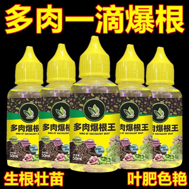 多肉爆根王快速生根液壮苗剂多肉植物通用控释养花水肥营养液正品