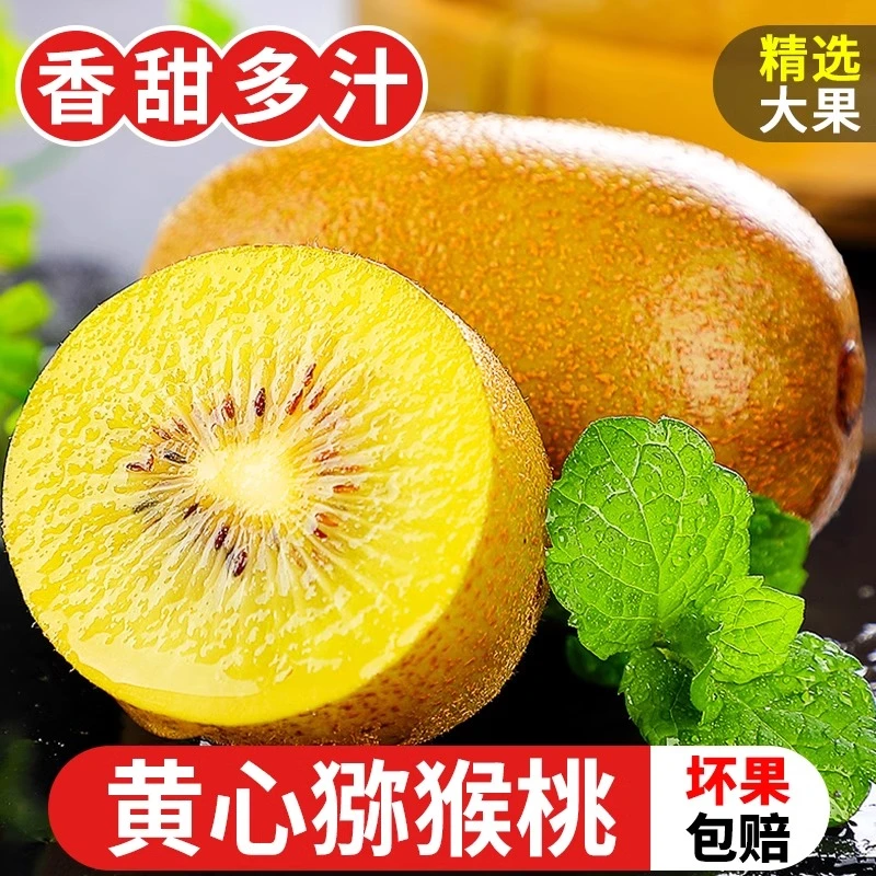 【正宗黄心猕猴桃】金艳猕猴桃新鲜超甜当季现摘新鲜奇异果孕妇水果