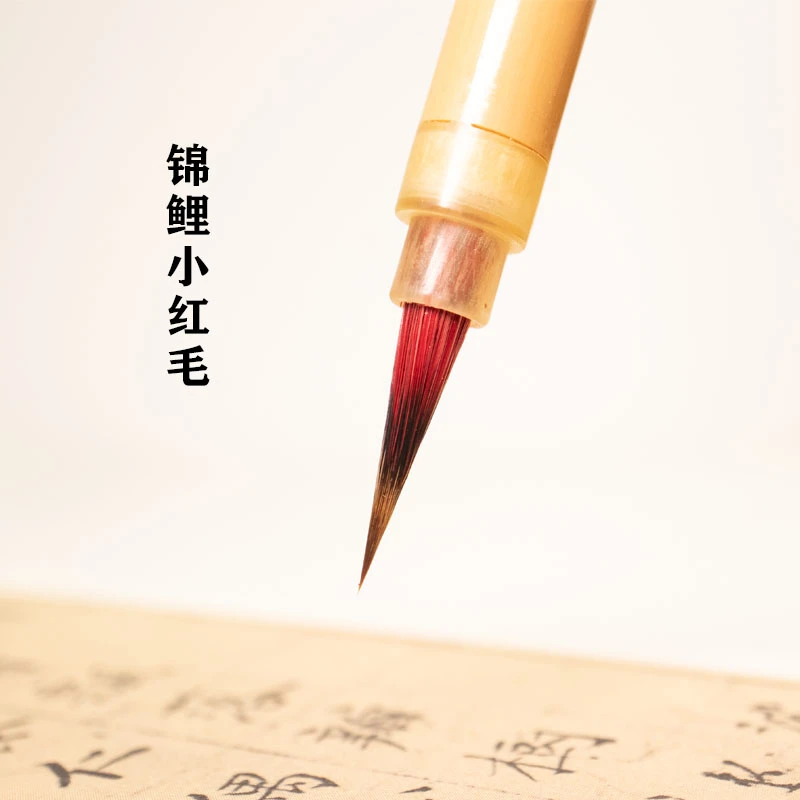 锦鲤小楷毛笔小红毛