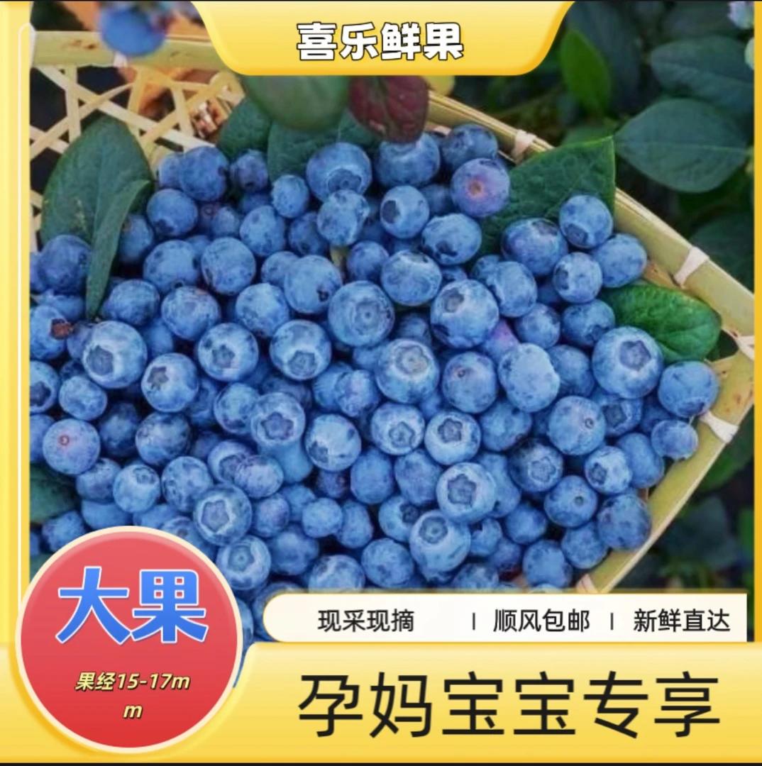中果秘鲁蓝莓15+mm新鲜现摘孕妈宝宝辅食每盒125g