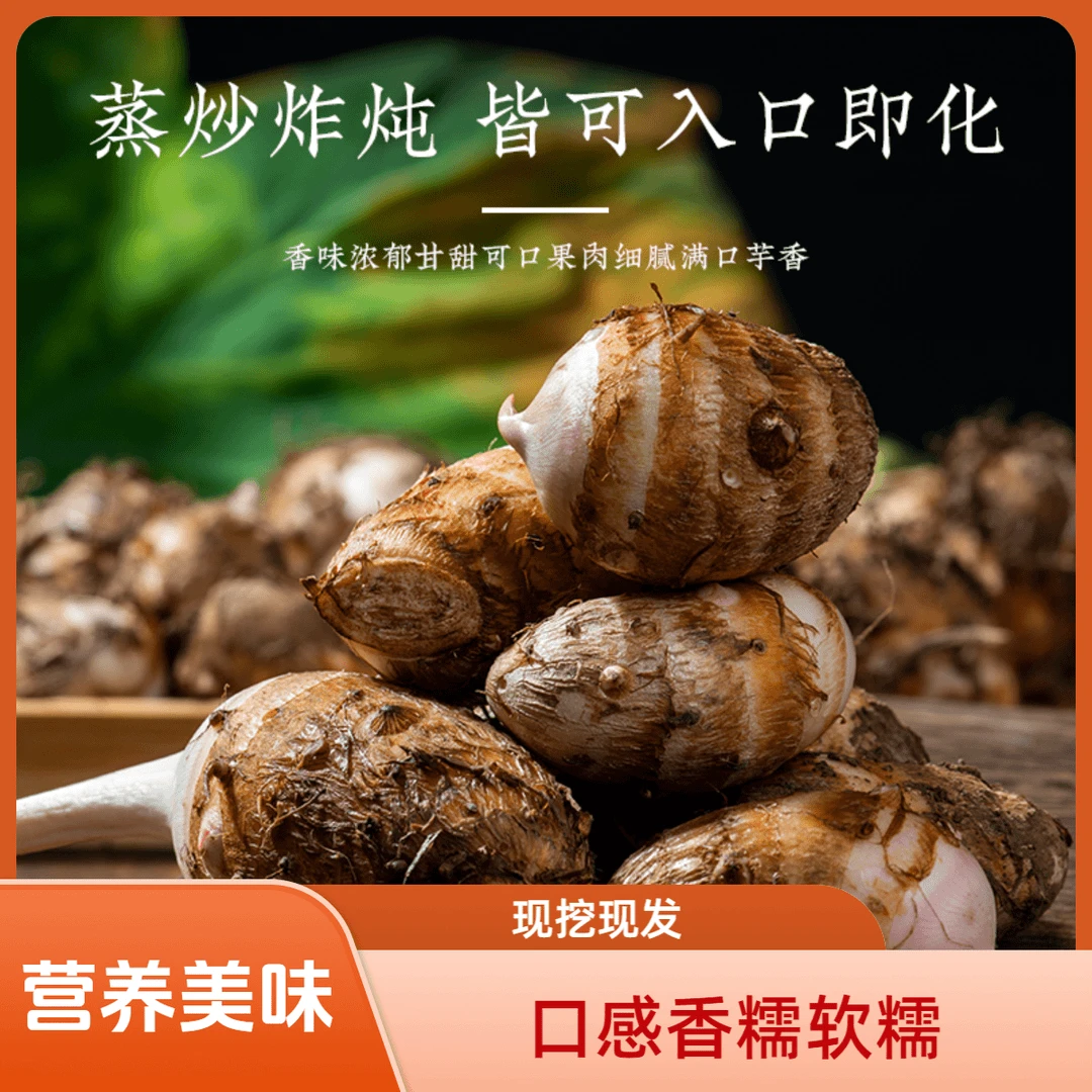 正宗金华红芽芋头现挖产地直发高山芋头软糯芋头新鲜香芋软糯