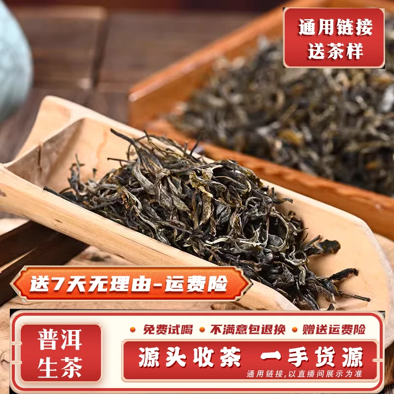 普洱茶221号500g2024年勐库黄草林古树混采生散茶带茶样GS18-MS