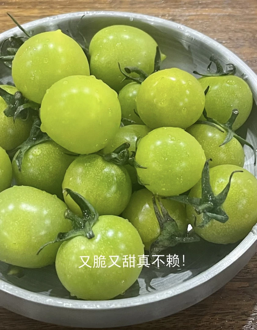 青甜小番茄一口爆甜