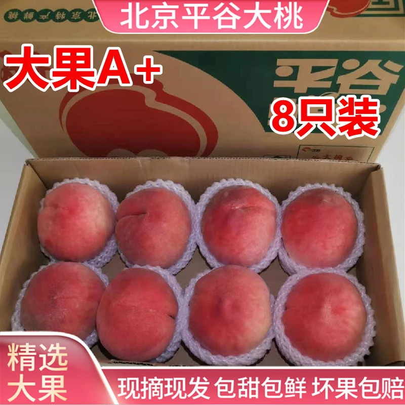 桃权正宗平谷大桃北京水蜜桃脆甜大果新鲜桃久保新鲜应季水果礼盒