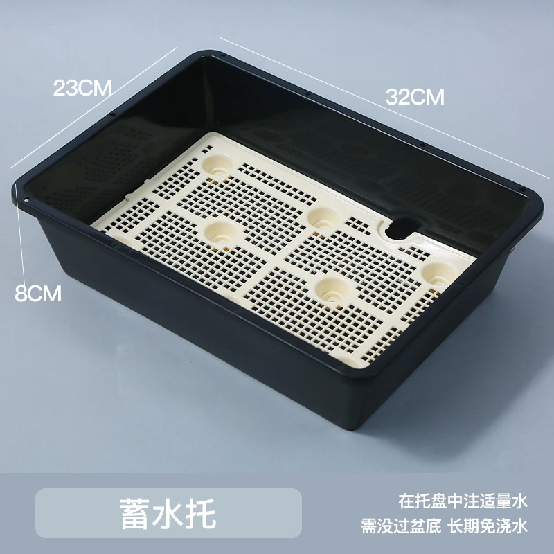 蓄水托盘多肉植物阳台庭院多肉新手园艺工具种植品质