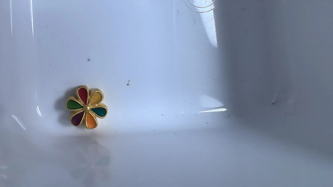 08足金六瓣花DIY定制款0.857