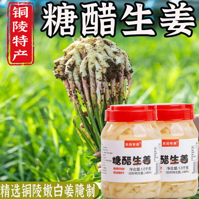良田有姜正宗铜陵泡姜仔白姜泡菜即食嫩仔姜泡菜1000g/桶农家风味