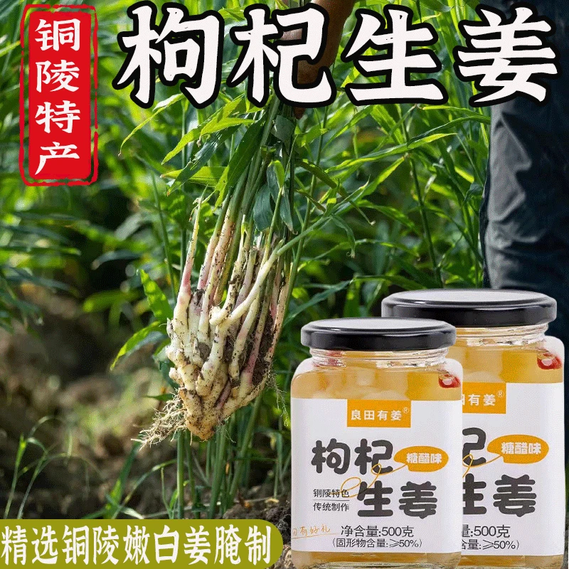 良田有姜【无添加枸杞泡姜仔】铜陵水果泡姜糖醋味爽口泡菜新鲜泡姜