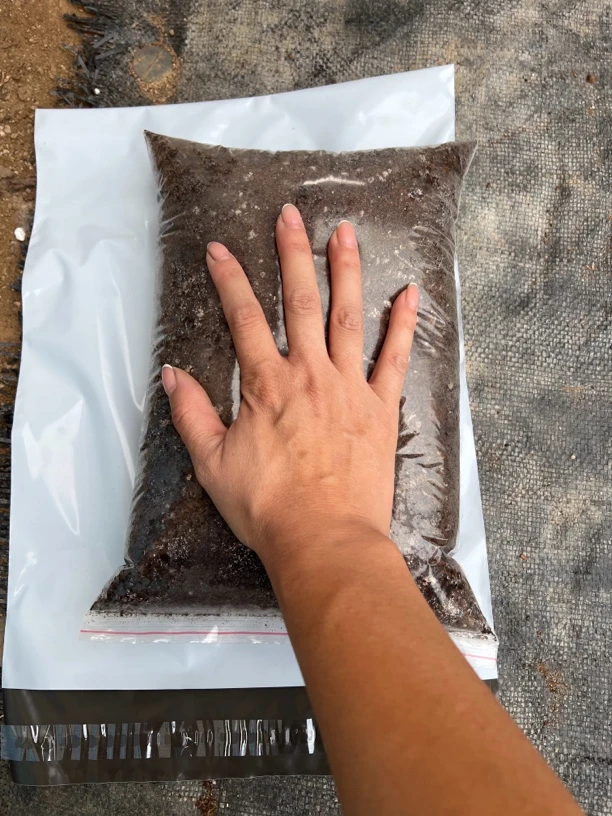 云竹专用土（品氏泥炭土2包）