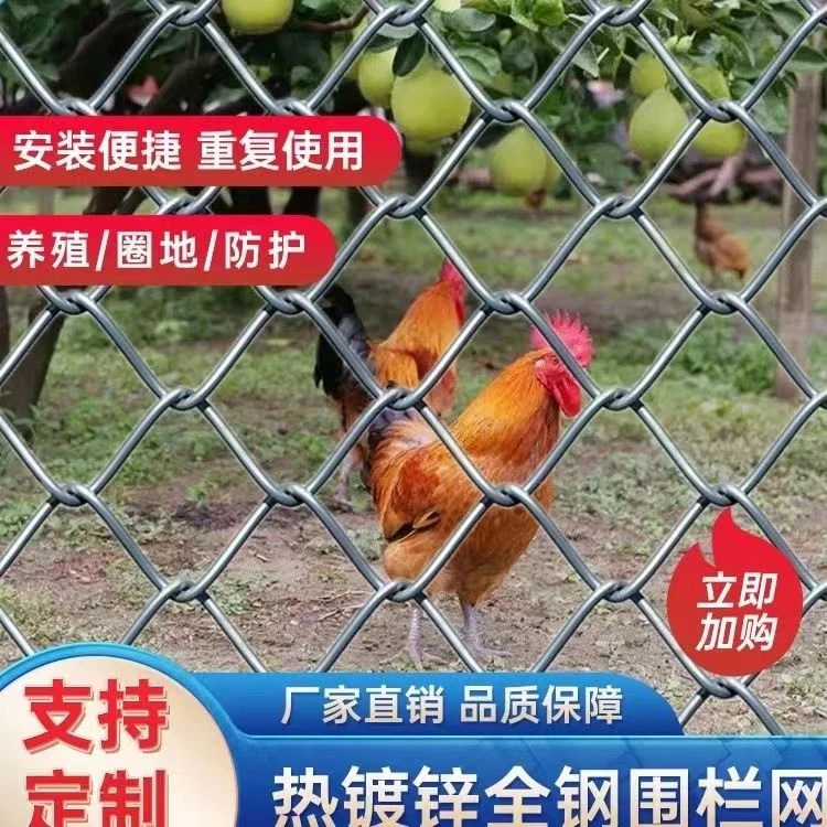 3厘米孔专用防黄鼠狼养鸡 热镀锌铁丝网围栏勾花网果园防护网围栏