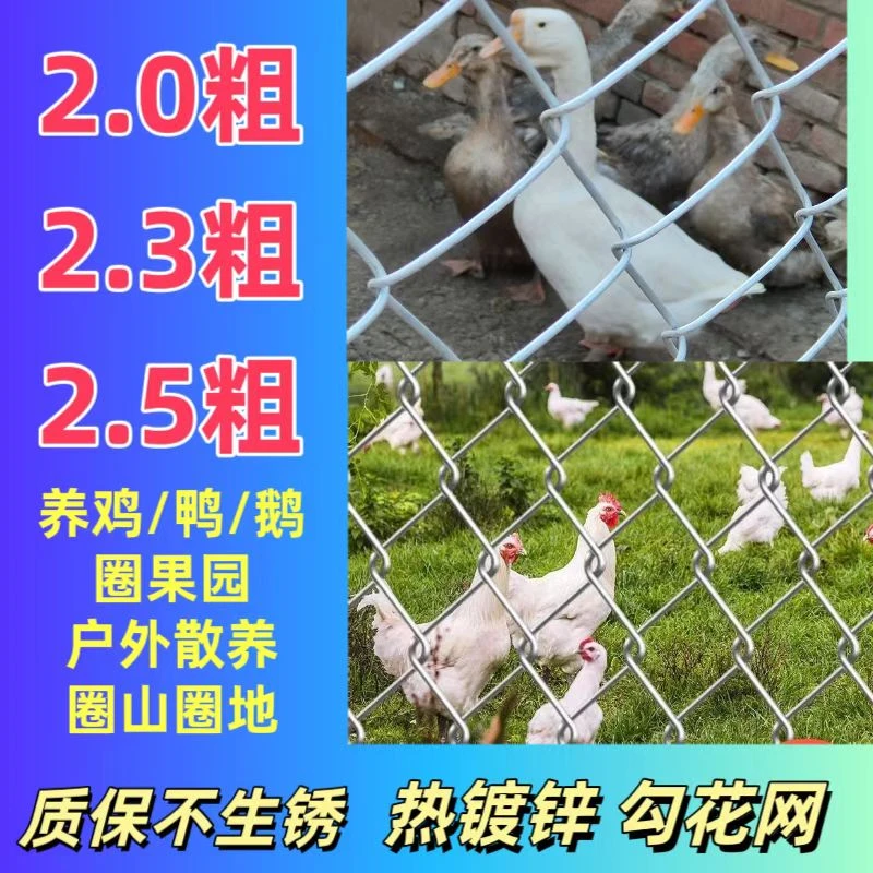 2.0粗10米 铁丝围栏网勾花网圈山圈地圈果园防护网养鸡鸭鹅养殖网