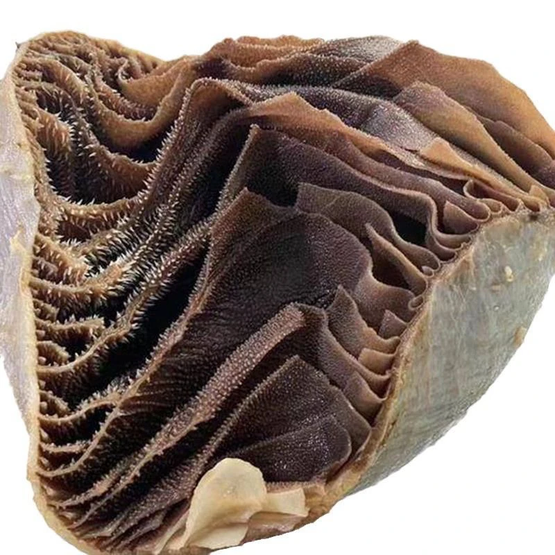 生牛百叶500g 正宗黄牛