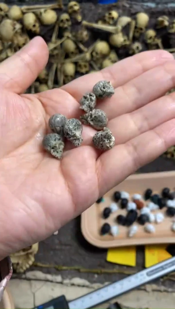 【闪购商品】星月菩提吊坠星三全竖30多样性发货发其一
