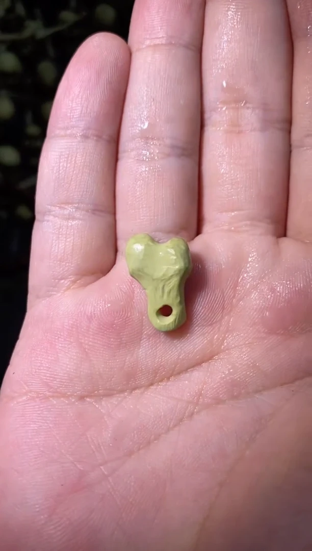 【闪购商品】绿松石颈饰未镶嵌9绿松骨头 多样性发货发其一