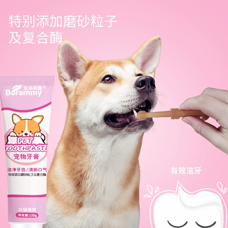 牙刷牙膏套装/牙刷软糯口腔舒适/牙膏可食用【至爱一生】