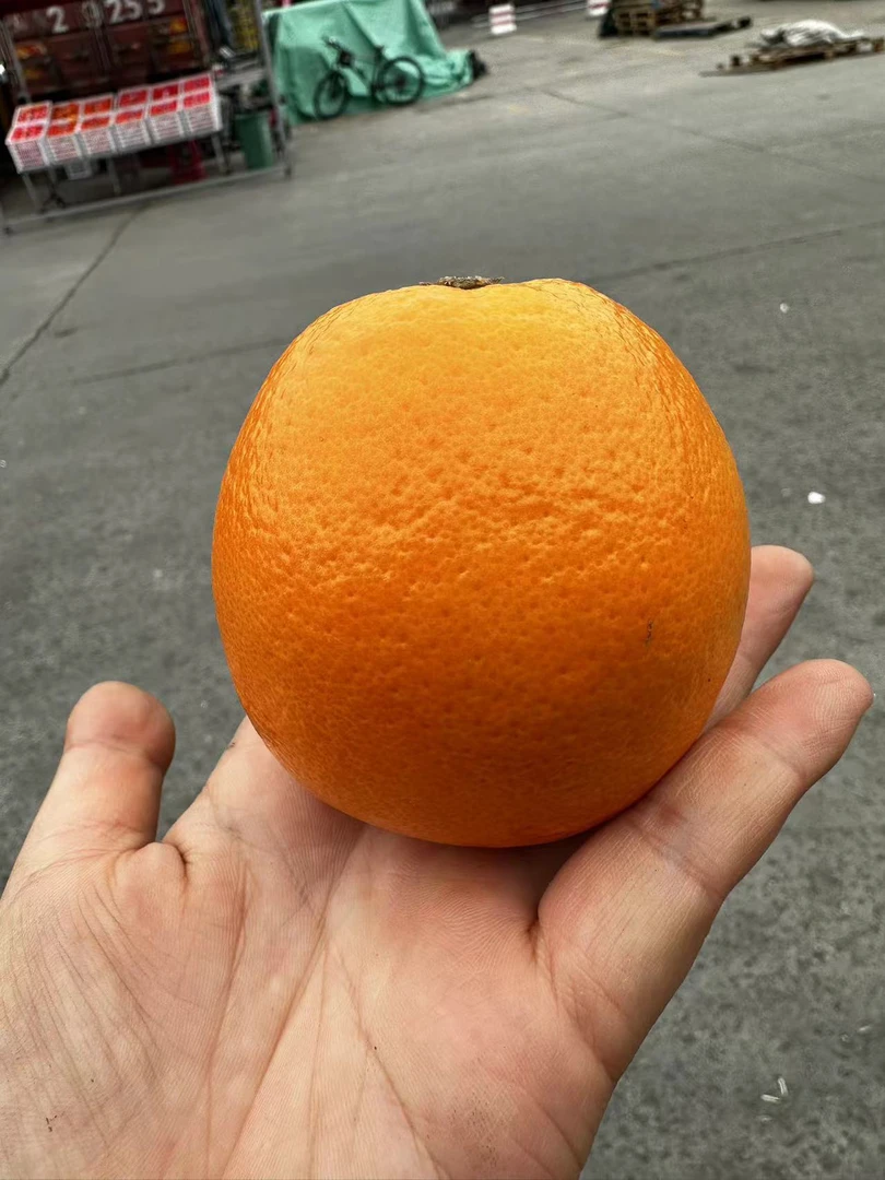 云南玉溪蜜可橙皮薄汁多圆润饱满净果3斤