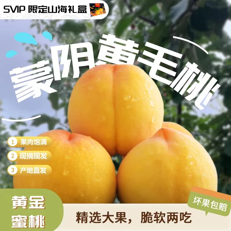 【黑金礼盒装】正宗山东蒙阴大蜜桃带箱5斤高端礼盒毛桃香甜黄桃