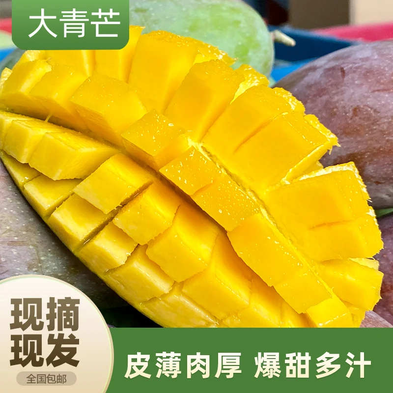 云南大青芒皮薄肉厚果香浓郁4.5斤装美味多汁催熟食用